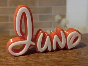 Juno Disney Name Sign Decorate Room child Birthday