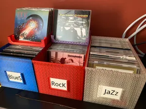 CD Stacking Browser Bin Storage Case