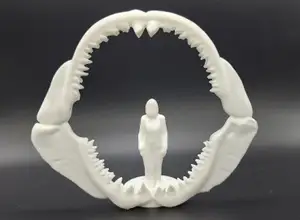 Megalodon Jawbone - Human Scale