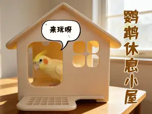 鹦鹉休息小屋|鸟窝