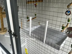 Vogelbecken