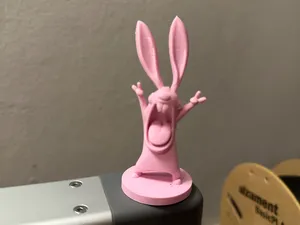 Crazy Bunny