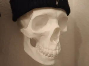 Skull hat & cap holder