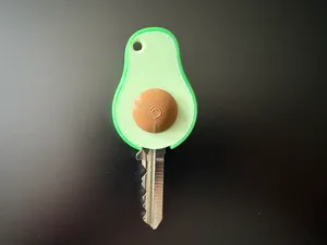 Avocado-Schlüsselcover