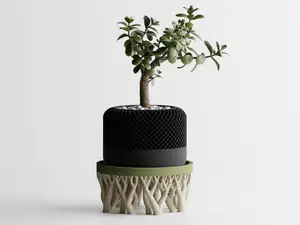Oragnic Bowl / Planter Stand