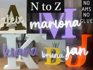 Layered Initial and Name Sign (N–Z)