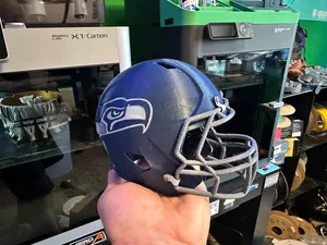 Seahawk Football Helmet