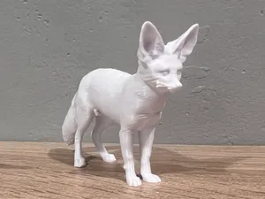 Fennec fox - Animal