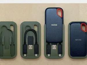 case sandisk
