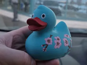 Japanese Inspired Duck