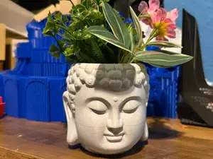 flowerpot head buda