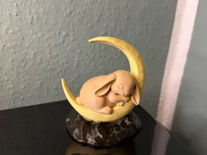 Schlafender Hase auf Mond