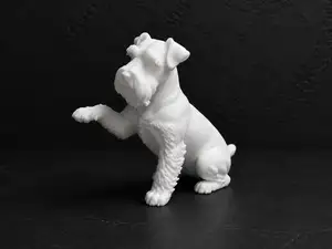 Command: Give me a paw – Schnauzer - Dog