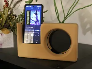 Phone speaker amp