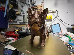French Bulldog