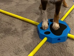 Modular Dog Training Balance Platform System