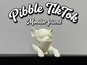 Pibble TikTok monitor friend