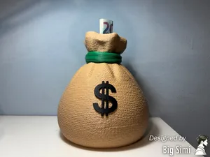 Money Bag Coin Bank NO AMS