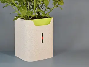 Selfwatering Planter