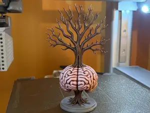 Brain Stem