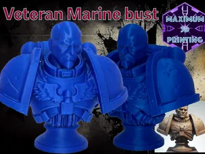Space Warriow Marine Veteran, 40K.