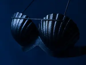Shell Bra Lingerie