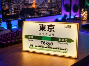 Tokyo Station Train Lightbox