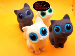 No AMS niedliche Katze no support !