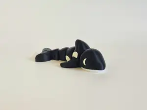 Orca Whale