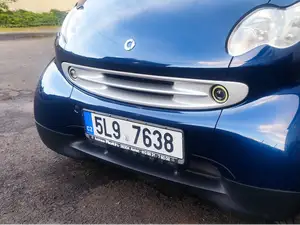 Smart Fortwo Light mount