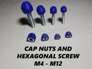 Cap Nuts and Hexagonal Screw M4 M5 M6 M10 M12