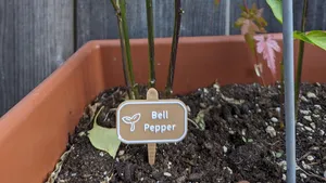 Plant Label Stake with swappable sign
