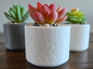 Shallow Succulent Vase - for Fake Plants (Sm)