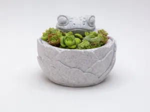 Froschkuesselchen Pflanztopf der Blattmagie