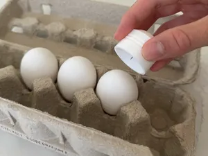 Egg Poker