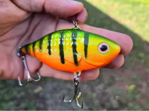 Bass or Cod Lure 85mm wide