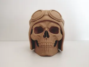 Aviator Skull with Goggles