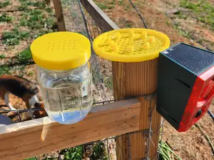 Bee Water Station (reg mason jar)