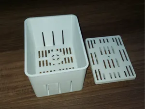 Homemade Cheese Maker Box & Press