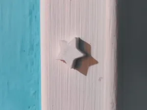 Star Magnet