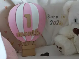 Hot Air Balloon Baby Monthly Milestones Set (1-12)