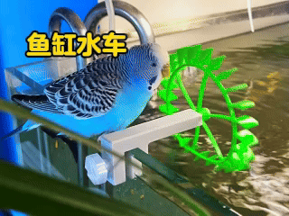 鱼缸水车 出水口 除油膜 水动力 水车 叶轮 风车 水力 草缸 养鱼