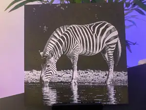 Zebra Hueforge
