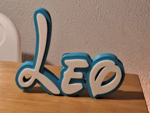 Leo Disney Name Sign Decorated Room child Birthday