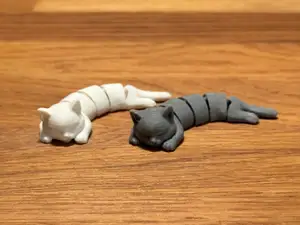 Flexi Katze / Gelenkige Katze