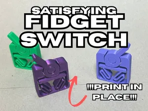 Satisfying Fidget Switch