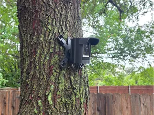 Ring Outdoor Camera Tree Mount