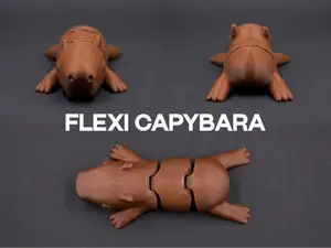 Flexi Capybara
