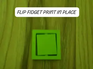 flip figet