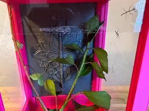 Terrarium